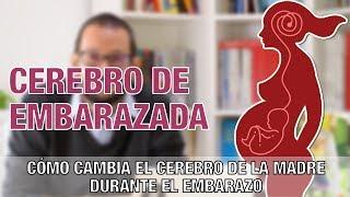 Cerebro de embarazada: ¿cómo cambia el cerebro de la mujer durante el embarazo y la maternidad?