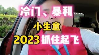 冷门暴利小生意，2023抓住机会！