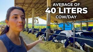 135 COWS, AVERAGING 40 LITERS PER DAY IN A COMPOST BARN SYSTEM, GRANJA RISSO, BRAZIL 