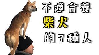 柴犬 有些人不適合養！你會不會是其中之一？｜柴犬柚醬 醬拔頻道｜ Who is not suitable for raising Shiba Inu？