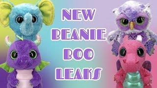 MORE 2024 BEANIE BOO LEAKS??