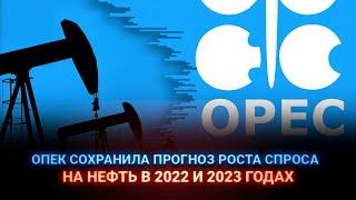 ОПЕК сохранила прогноз роста спроса на нефть в 2022 и 2023 годах