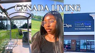 CANADA LIVING #13: Failed my drive test? Shopped at Food Basic, Life lately as a student in Canada