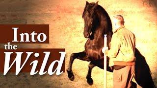 Into The Wild; Horse And Man