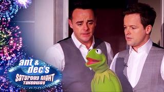 Muppet Mania In The Studio! - Saturday Night Takeaway