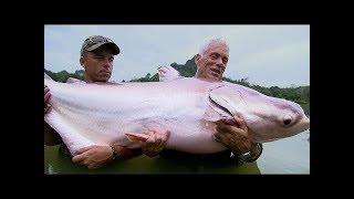 Catching A Mekong Giant Catfish - River Monsters