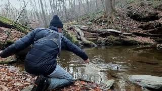 December Trout Fly Fishing