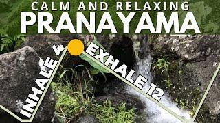 Pranayama: Exhale 3x Longer Than Inhale (4-1-12-1)