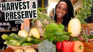 The 6 FAST & SIMPLE Harvesting and Preserving Methods to keep your food FRESH! | Summer Garden Tour