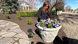 Pinching Snapdragons, Simple Spring Containers & Transplanting Iris! ️ // Garden Answer