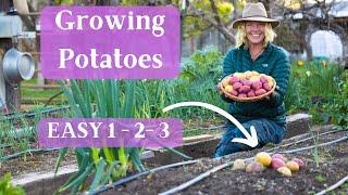 Planting Potatoes: Growing Steps &Tips For The Best Potatoes