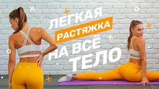 Растяжка на все тело. Стретчинг для начинающих