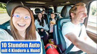 10 Stunden Auto fahren mit 4 Kindern & Hund  Familien Urlaub VLOG | Mamiseelen