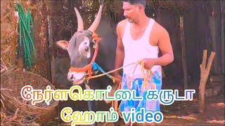 Neralakottai garuda home video// Vellore Eruthukattu