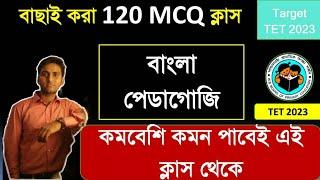 Primary TET 2023 Bengali Pedagogy Marathon Class || TET EXAM MODEL QUESTION PAPER || RGM EDUCATION