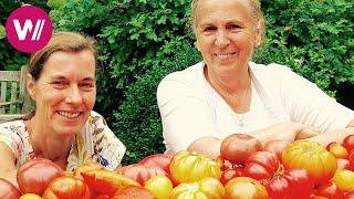 Burgenland - Cooking Tomatoes like Granny | What's cookin'