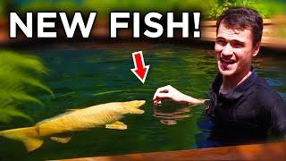 The Huge Pond Is Finished! Stocking My New Fish! (pt 4)