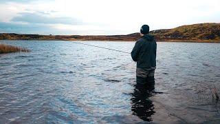 I DIDN'T EXPECT THIS! Fly Fishing for WILD Brown Trout in Ireland!!