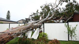 Floodwaters begin to recede on the Gold Coast revealing extensive damage