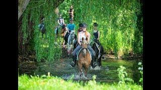 Deutschlands beste Reitvereine: RV Vorhelm Schäringer Feld