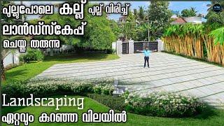 Landscaping ഏറ്റവും കുറഞ്ഞ വിലയിൽ|Landscaping Ideas|Natural stone|Artificial grass|Dr. Interior