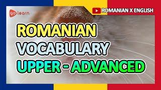 Learn Romanian |Part 16: Romanian Vocabulary Upper-advanced | Golearn