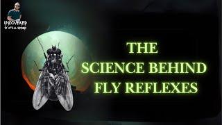 The Genius Brain of a Fly EXPOSED!