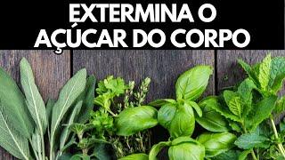 10 ERVAS QUE 'CHUPAM' O AÇÚCAR ALTO DO SANGUE IMEDIATAMENTE   DIABÉTICO USE AGORA!