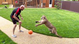 Messi prevents Sasha from cleaning.