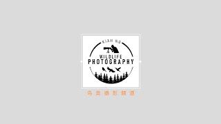 Kiah Ng Photography Channel Intro