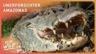 XXL-Doku: Unerforschter Amazonas entlang des Essequibo | Real Wild Deutschland