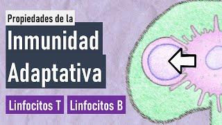 Inmunidad Adaptativa | Memoria, Especificidad, Diversidad, Especialización...