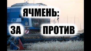 Почему ячмень лучше пшеницы? Уборка позднего ячменя. Кому кепка Джон Дир