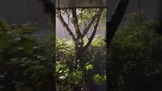 A walk in super rainy | PROPET new leather shoes not let me get wet feet | very nice