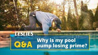 Q&A: Why is My Pool Pump Losing Prime? | Leslie's