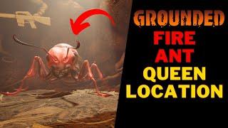 Where To Find The Fire Ant Queen in Grounded | Fire Ant Queen Location