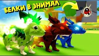 БЕЛКИ В Animal Simulator/ОБНОВА/НАХОДИМ ЯЙЦА 