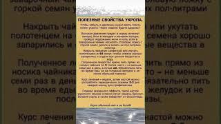 Уроп Обычный Пей и Не Болей #настойка #народнаямедицина #полезныесоветы  #здоровье