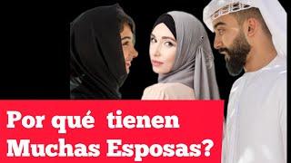 POR QUE LOS MUSULMANES TIENEN TANTAS ESPOSAS?