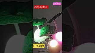 Good Night Sweet dreams Maha ka room #tag #your #buddy #lovestatus #night #someone #love #digitalmar