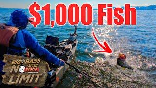 How I Won $2300 with Only Two Fish!!!