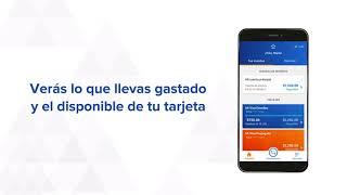 Consulta los gastos de tu tarjeta de crédito