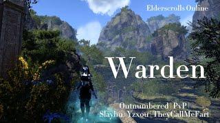 [ESO] PvP | Warden | OUTNUMBERED | U40 |