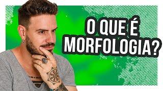 MORFOLOGIA - Pablo Jamilk