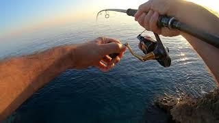 Shore Jigging - Barracuda live strike