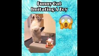 Funny Adorable Cat Imitating a Toy.#funnycat #adorablecat #catplayingtoy