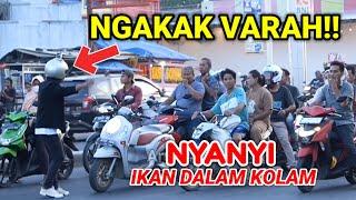 KOCAK !! NYANYI IKAN DALAM KOLAM BIKIN NGAKAK