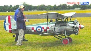 HUGE 50% SCALE RC Bristol Bulldog Biplane | Large Model Association (LMA) Cosford