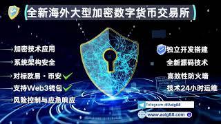 全新海外大型加密数字货币交易所独立开发搭建，对标欧易、币安等交易所，支持Web3钱包，全球24小时在线服务。