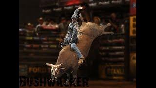 Bushwacker highlights